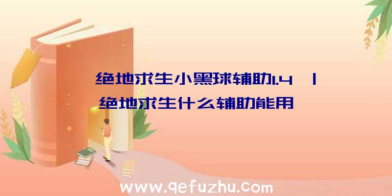 「绝地求生小黑球辅助1.4」|绝地求生什么辅助能用